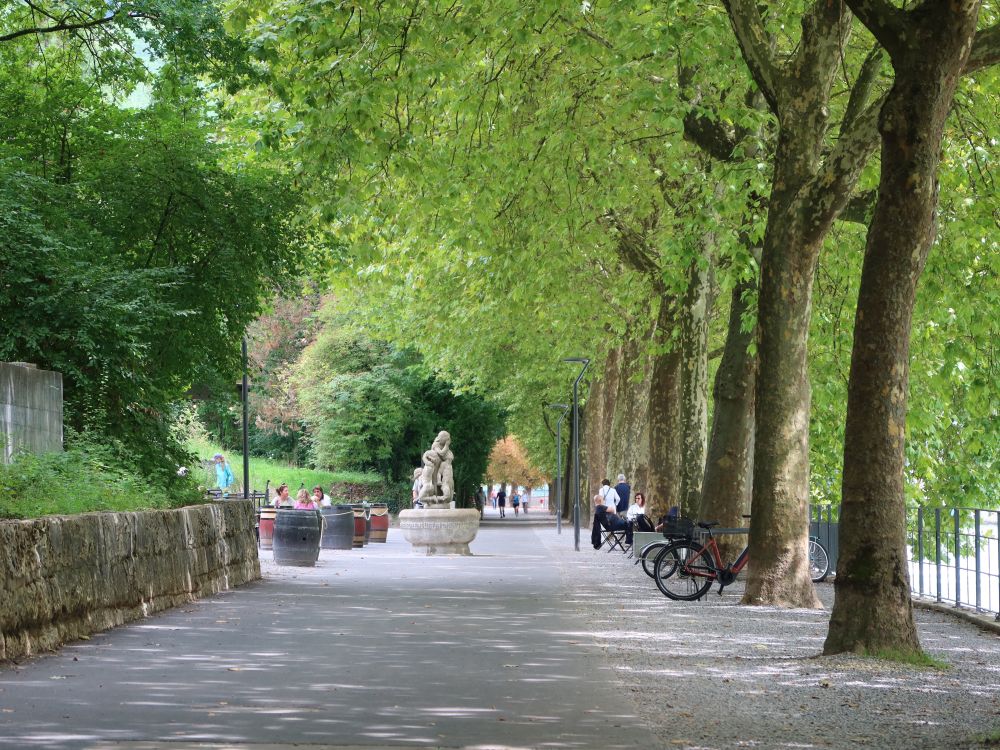 Limmatpromenade mit Träne-Brünneli