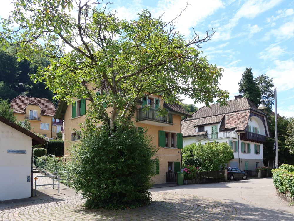 Schellenackerstrasse