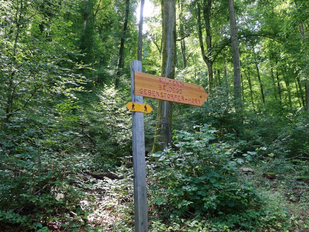 Wegweiser