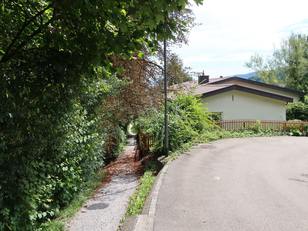 Oesterliwaldweg