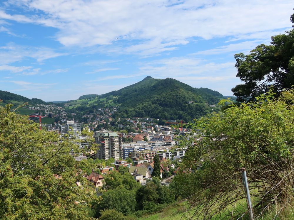 Blick Richtung Lägeren