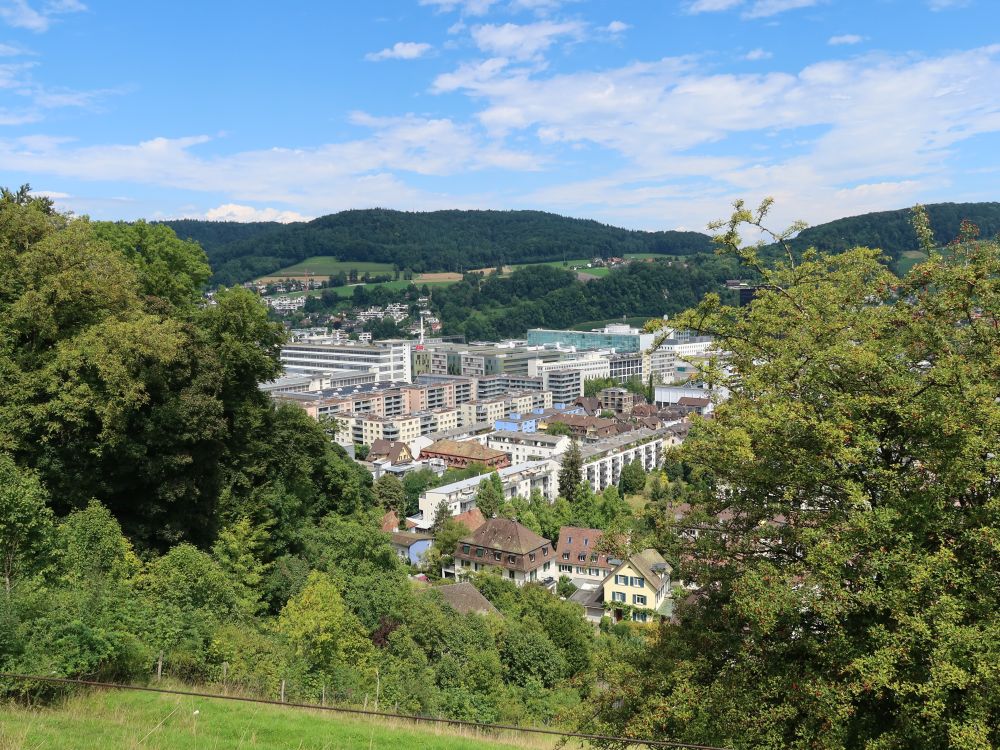 Industrie Baden
