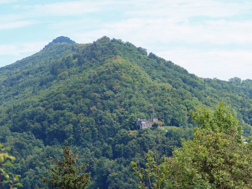 Schloss Schartenfeld am Lägeren