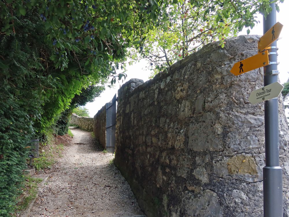 Pfad zwischen Hecke und Mauer