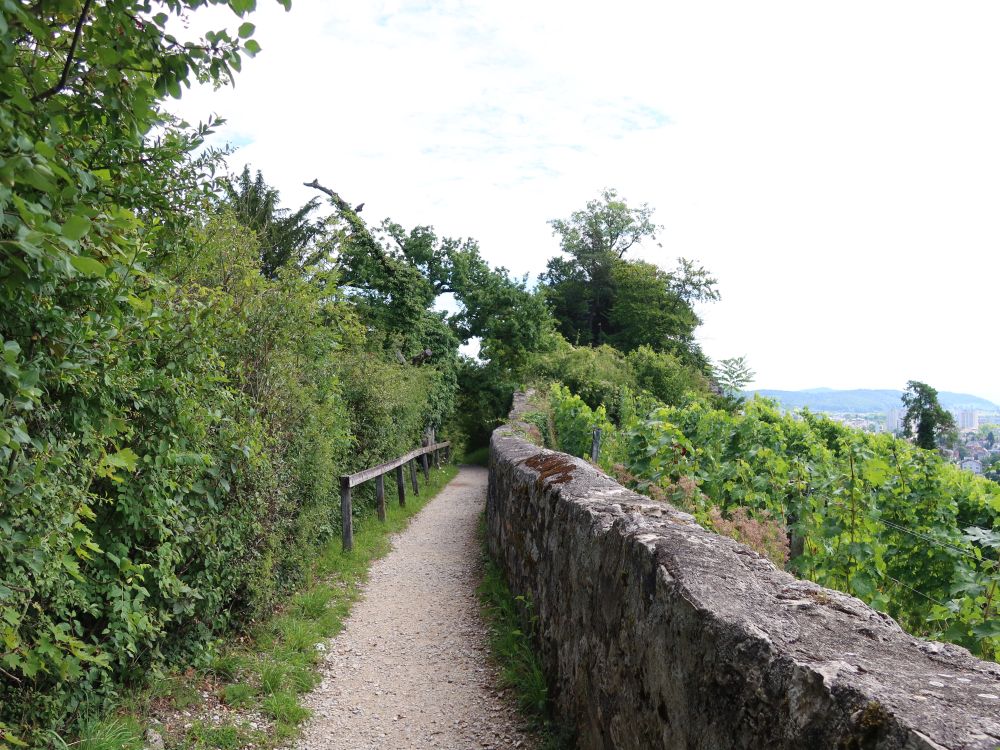 Pfad zwischen Hecke und Mauer
