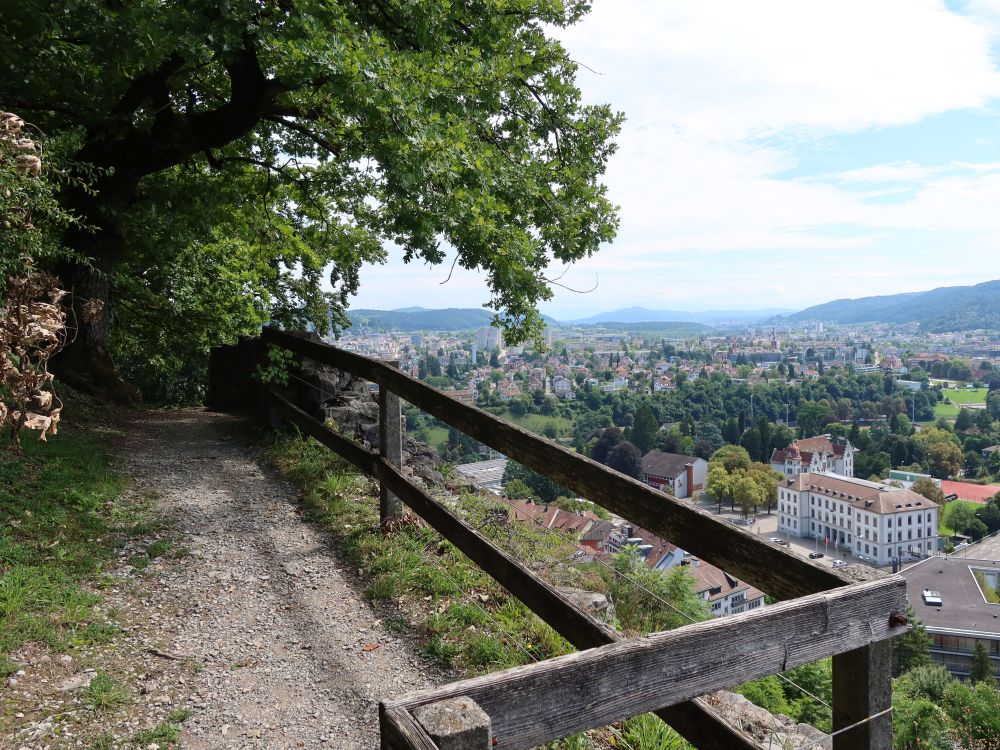 Blick Richtung Altenburg