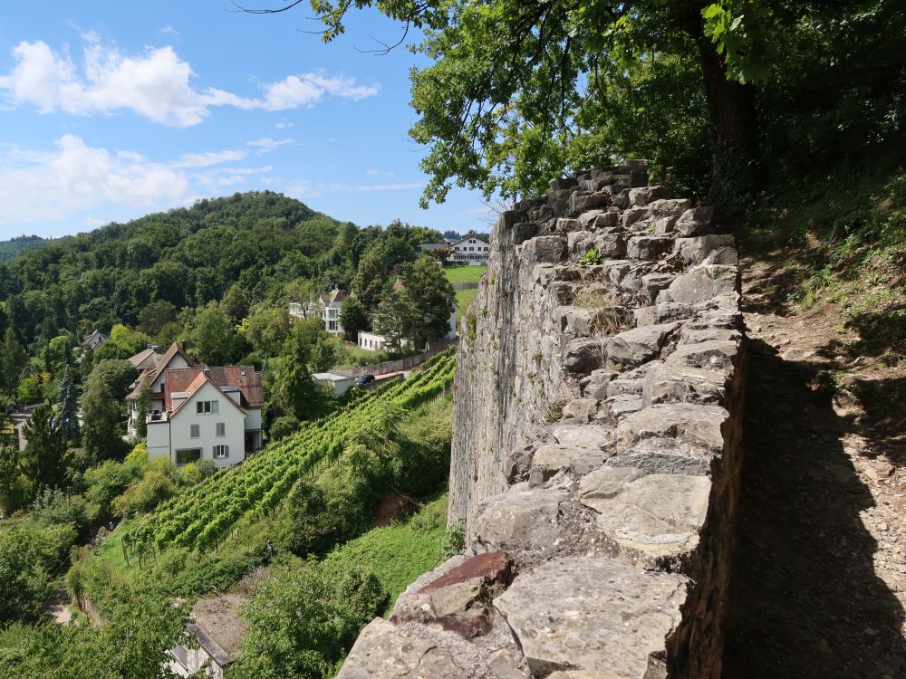 Steinmauer und Weinberg