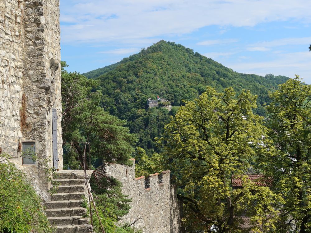 Blick Richtung Lägeren