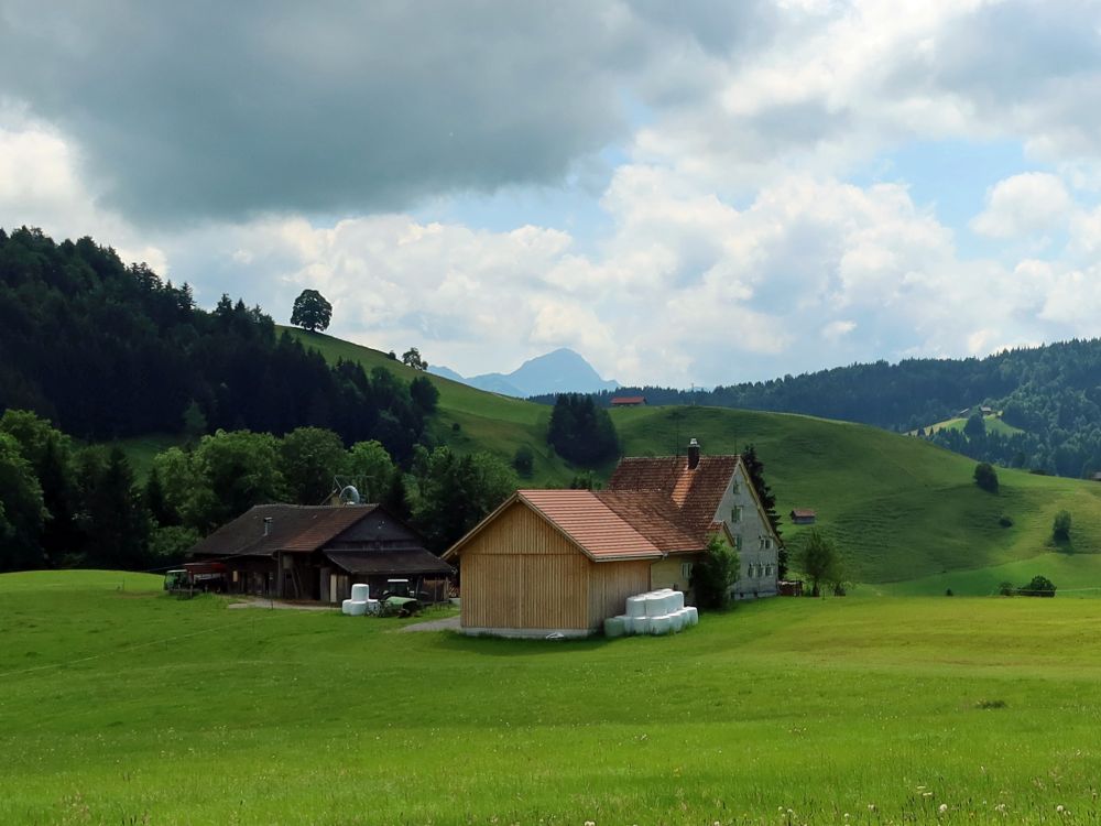 Bauernhof im Hinterharzenmoos