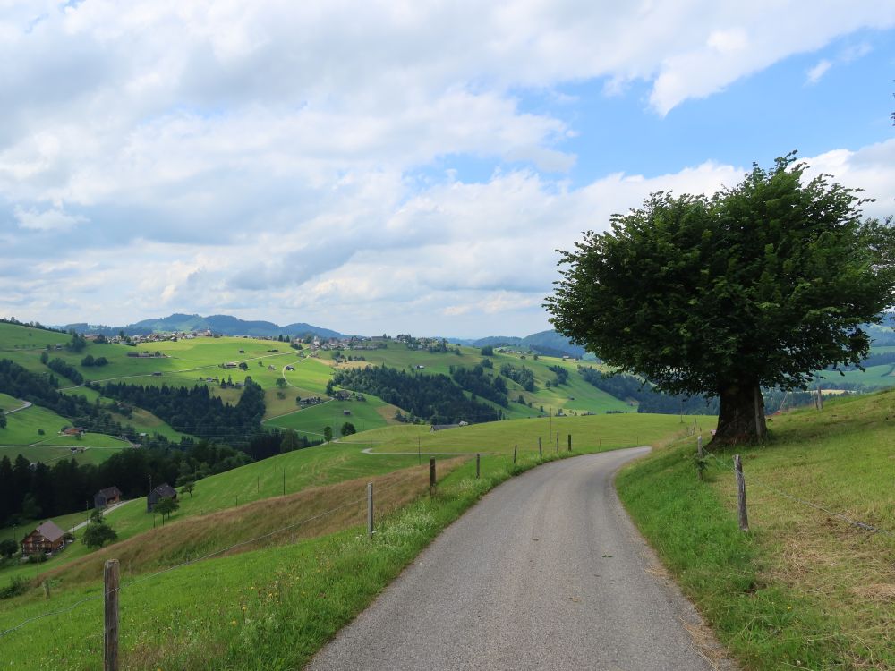 Blick Richtung Hemberg