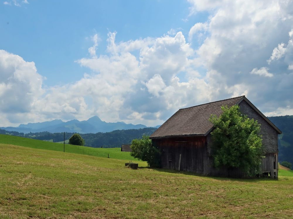 Scheune bei Barenegg