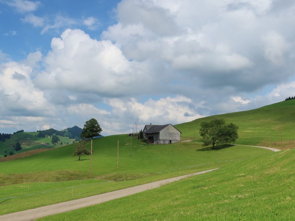 Oberbareneggstrasse und Hochhamm