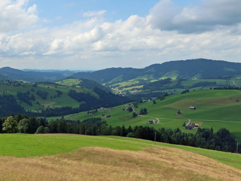 Blick ins Neckertal