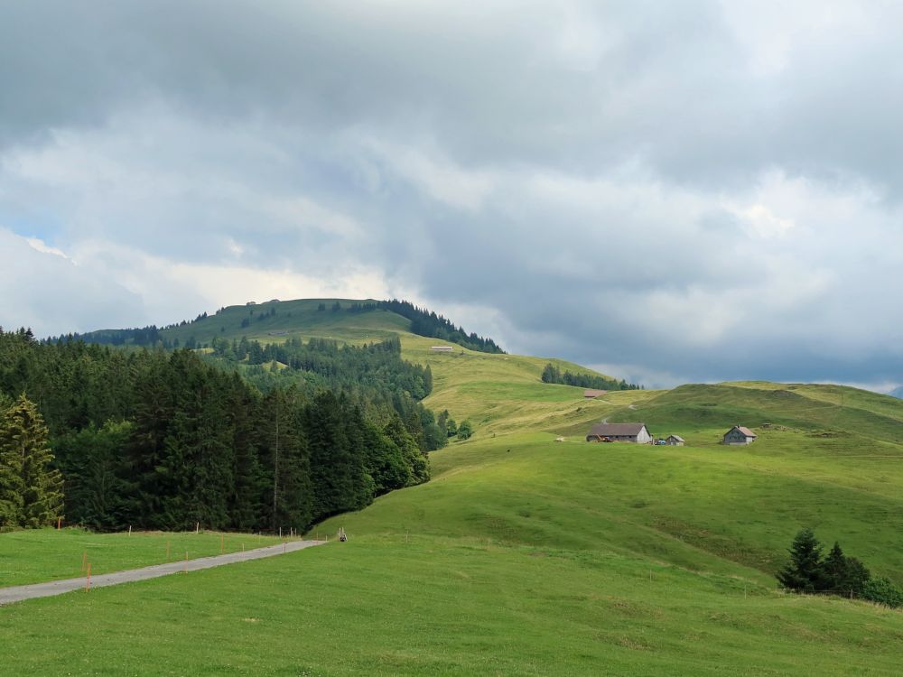 Dürrwälderen und Hochalp