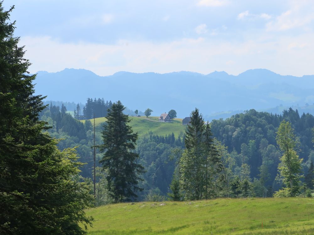 Blick Richtung Oberbarenegg