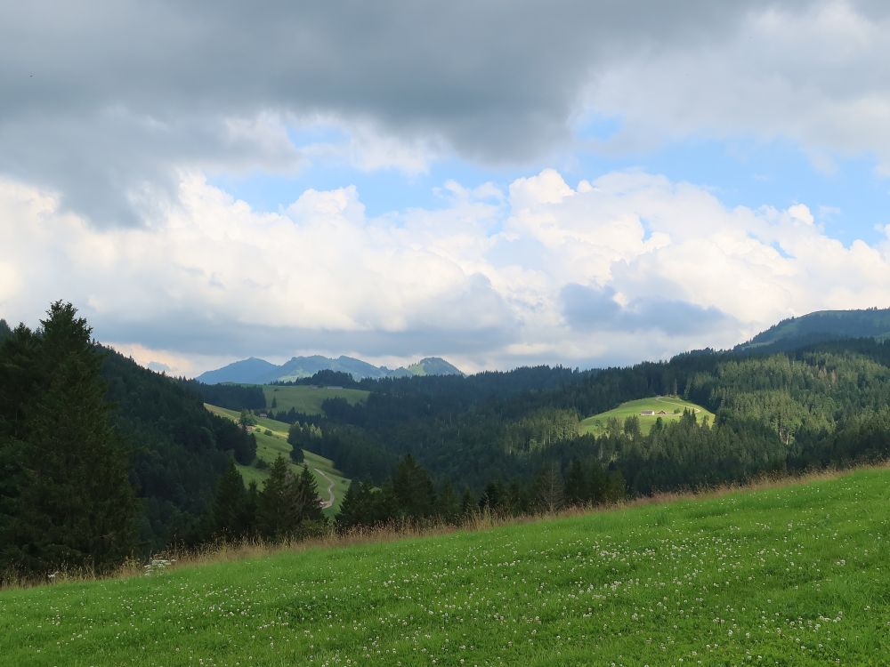 Blick Richtung Hundwiler Höhi