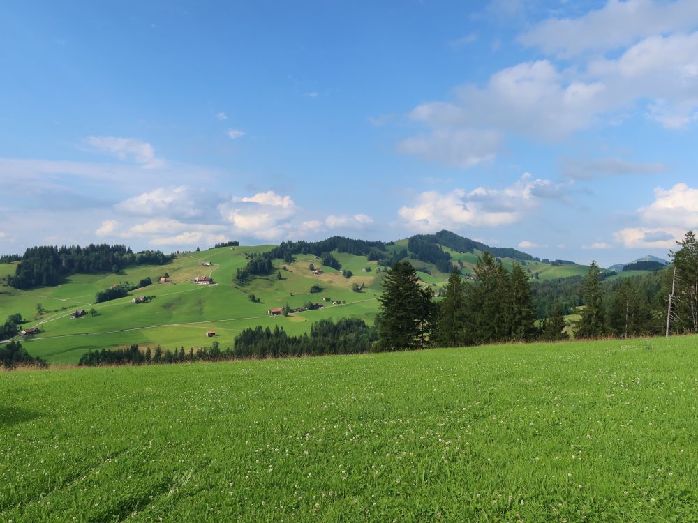 Blick Richtung Hochhamm