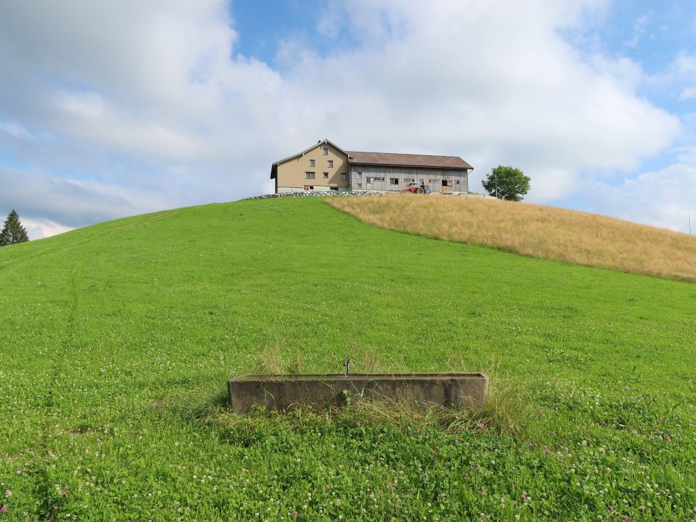 Bergwirtschaft zum Chapf