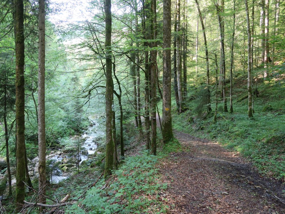 Ettenbergweg am Löchlibach