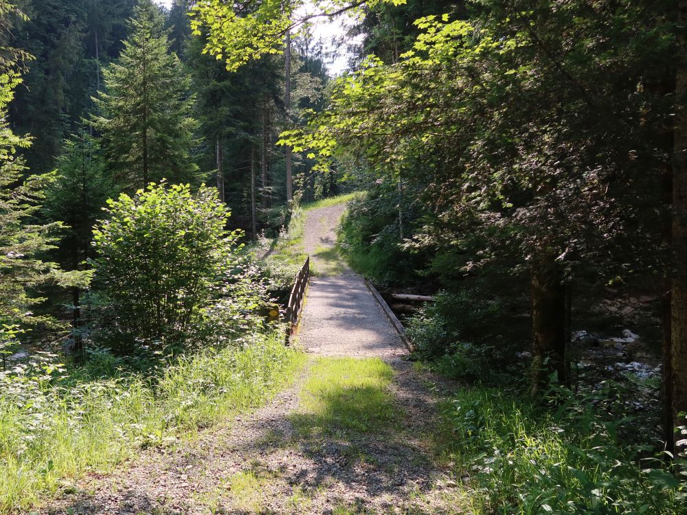 Brücke übern Zwislerbach