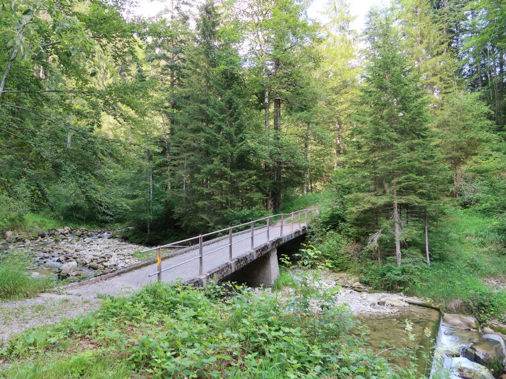 Brücke übern Zwislerbach