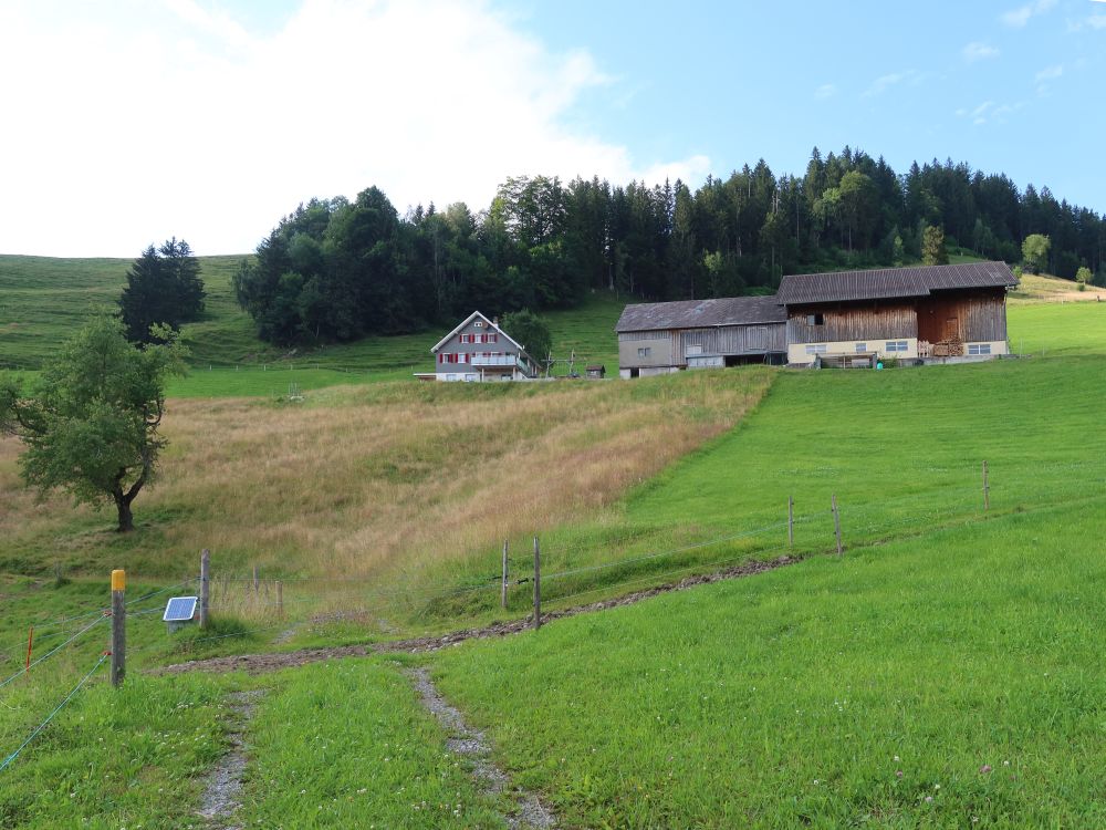 Bauernhof an der Urnäschstrasse