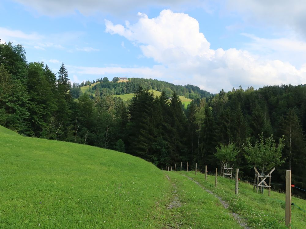 Blick zur Bergwirtschaft zum Chapf