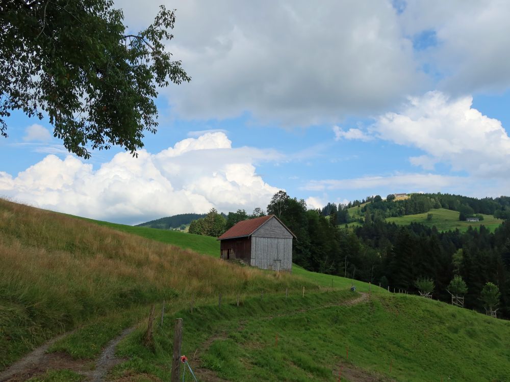 Scheune und Bergwirtschaft