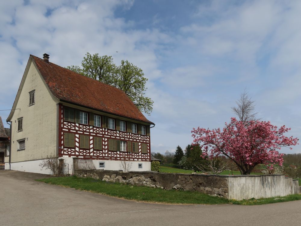 Fachwerkhaus Breitäcker