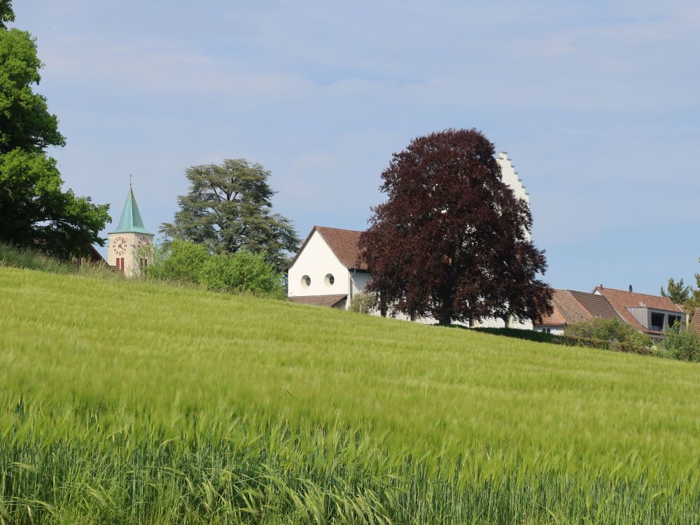 Kornfeld und Kirchen von Berg