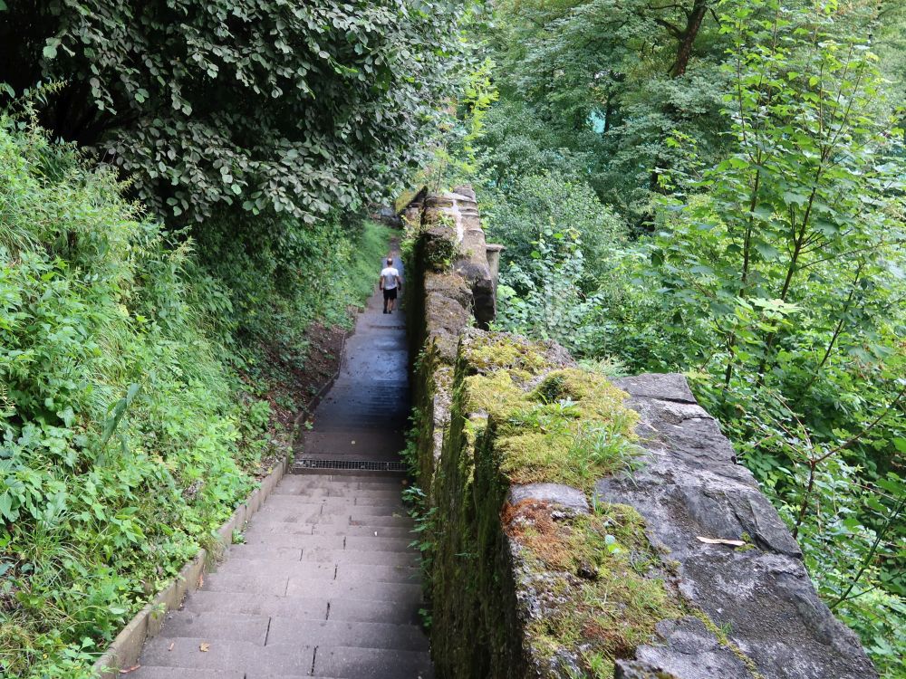 Pfad an der Lorrainebrücke