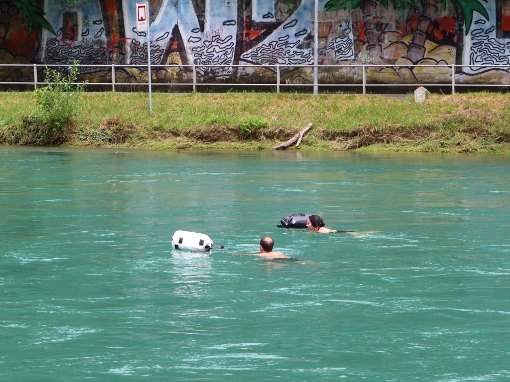 Schwimmer in der Aare