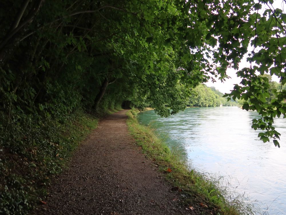 Reckweg an der Aare