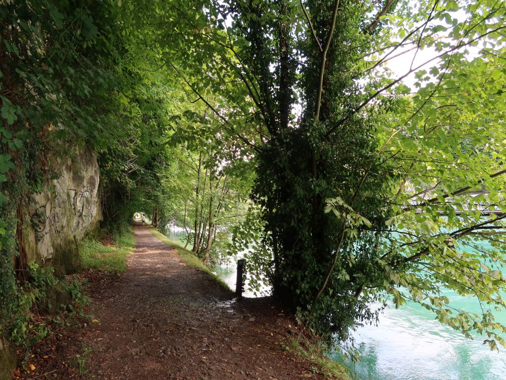 Reckweg an der Aare