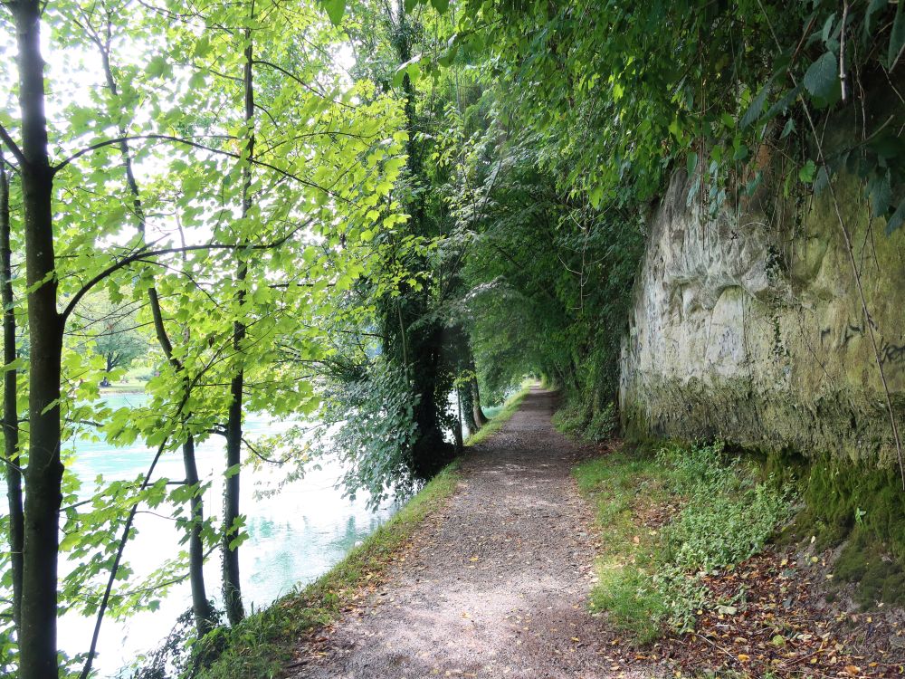 Reckweg an der Aare