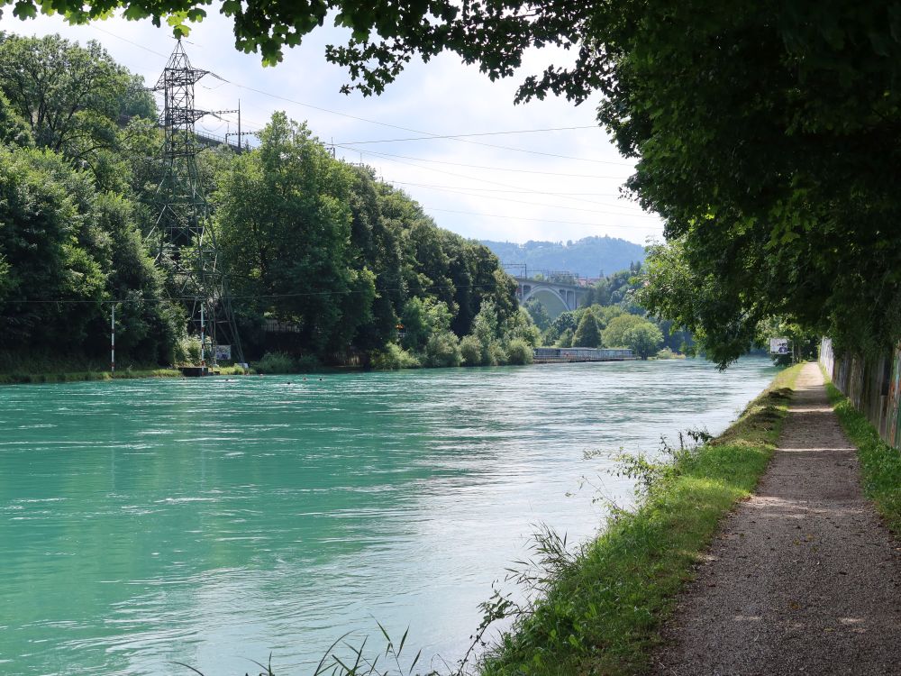 Reckweg an der Aare