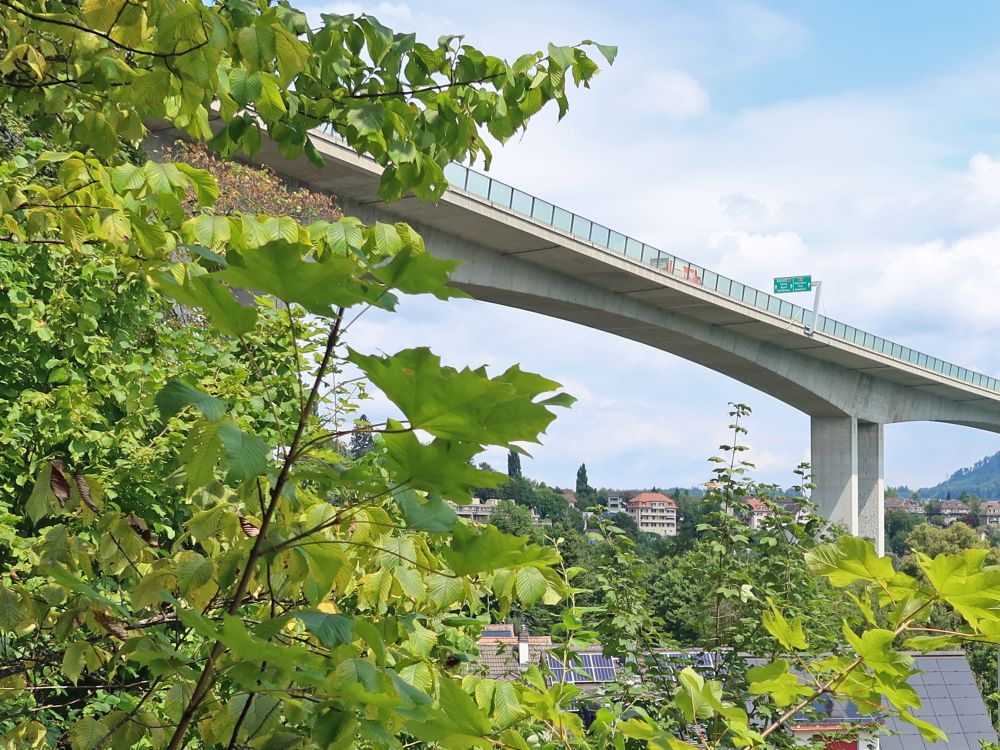 Felsenauviadukt (A1)