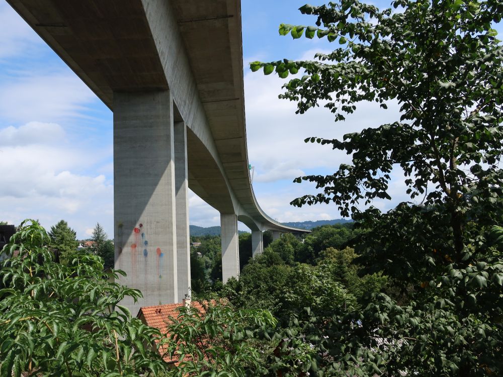 Felsenauviadukt (A1)