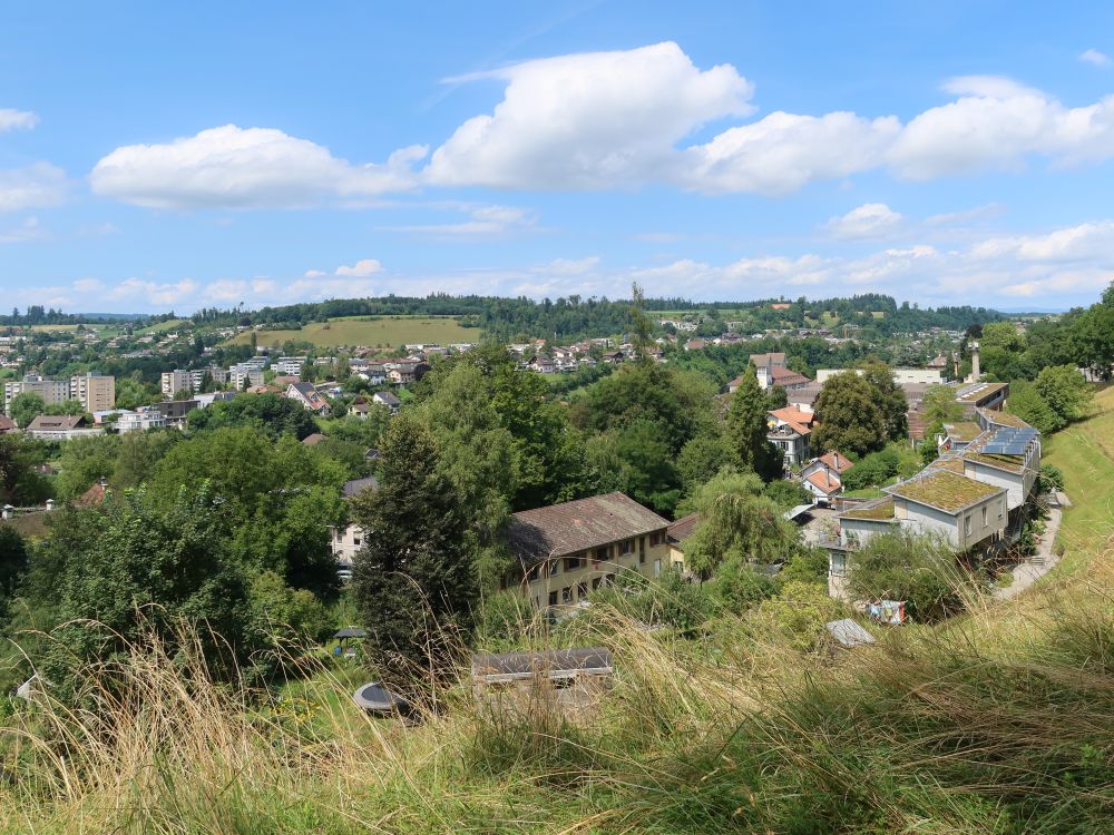 Blick Richtung Felsenau