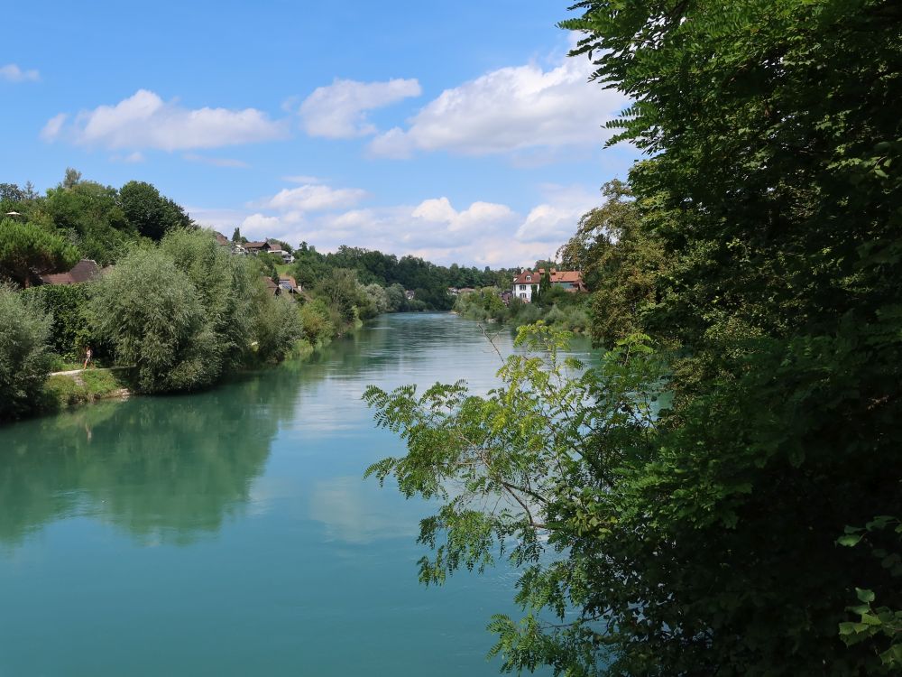 Aare bei Felsenau