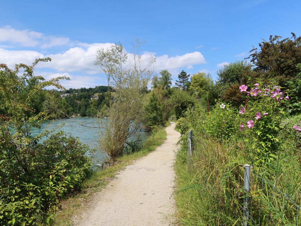 Reckweg an der Aare