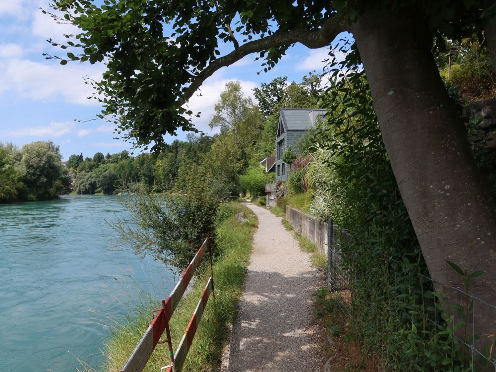 Reckweg an der Aare