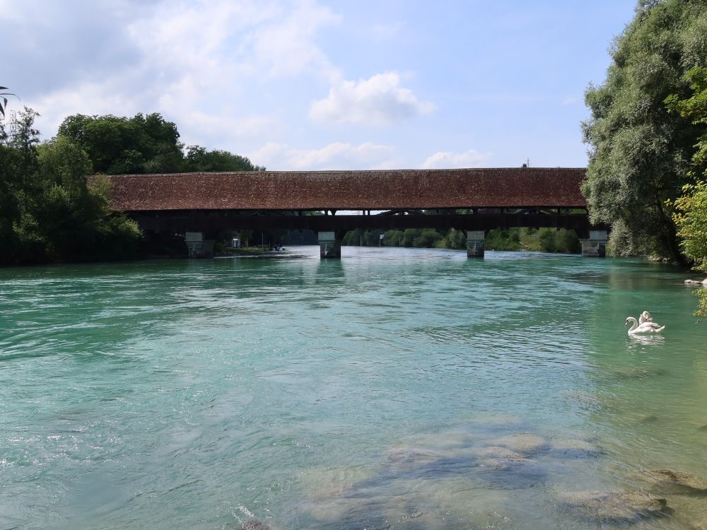 Neubrügg über der Aare