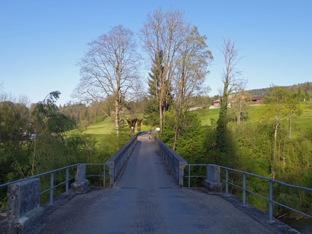 Erlenholzbrücke