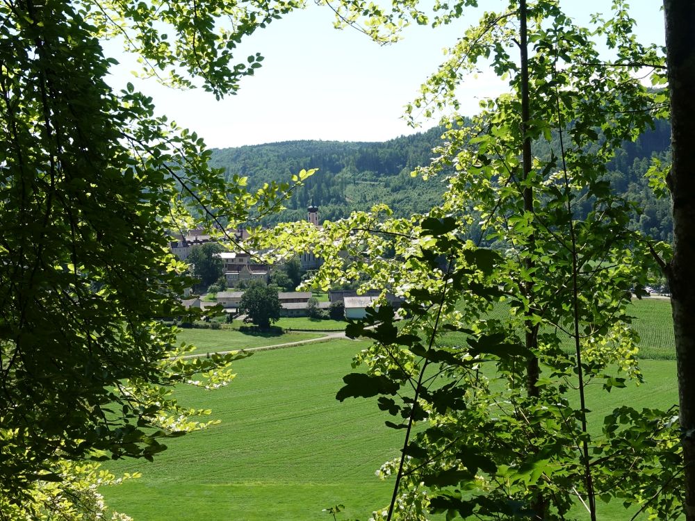 Kloster Beuron zwischen Baumlücken