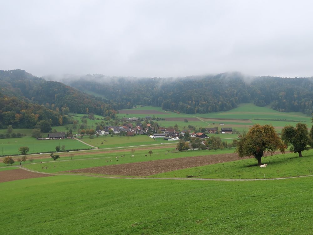 Blick Richtung Neubrunn