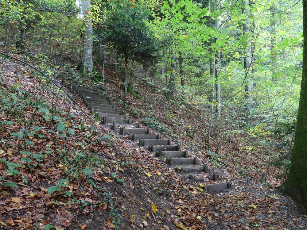 Treppe unterm Buechenegg