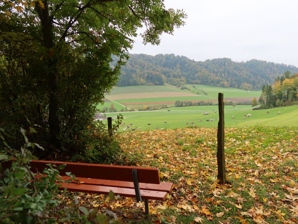 Sitzbank und Herbstlaub