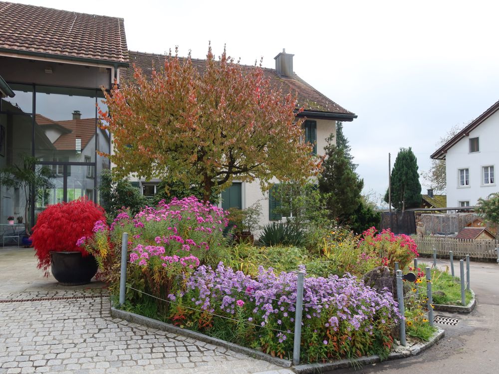 Blütenmeer bei Ramsberg