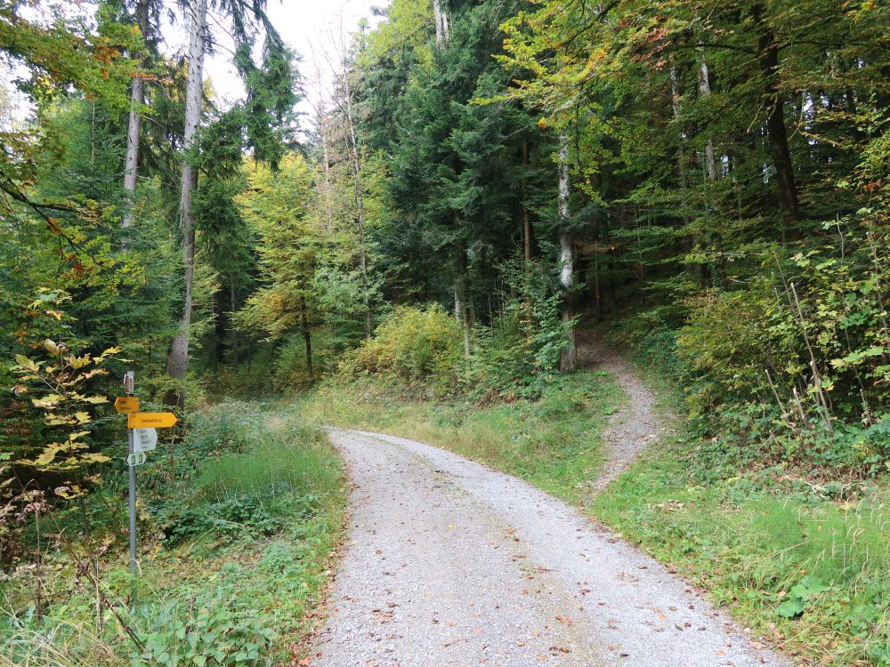 Abzweig von der Talbachstrasse